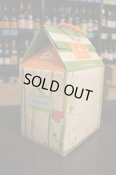 画像1: ルナーリア　/　マルヴァジーア　2023　3000ml　BAG IN BOX (1)